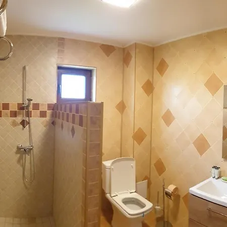 Pensiunea Lotus Корбу