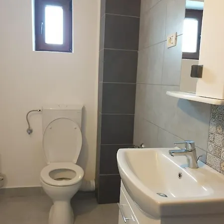 Vendégház Pensiunea Lotus