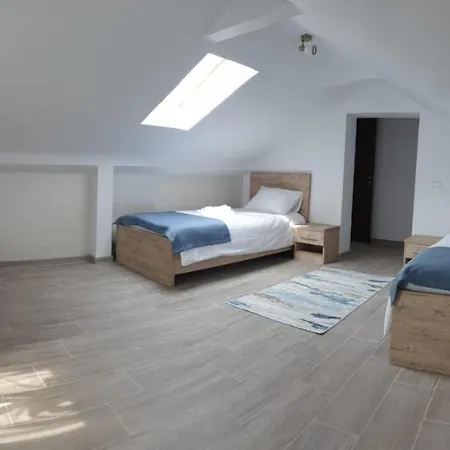 Pensiunea Lotus Vendégház