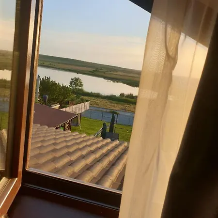 Maison d'hôtes Pensiunea Lotus