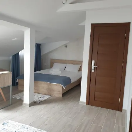 Maison d'hôtes Pensiunea Lotus