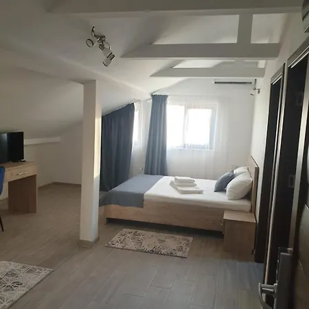 Pensiunea Lotus Maison d'hôtes 3*