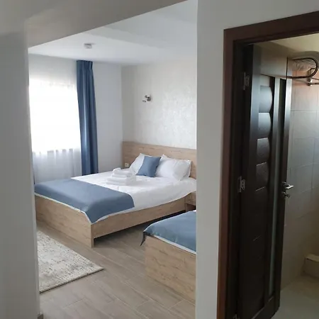 Maison d'hôtes Pensiunea Lotus